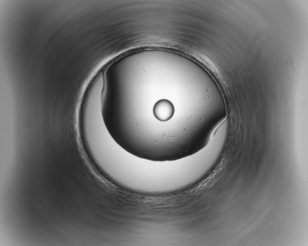 X0000096651128200802261314