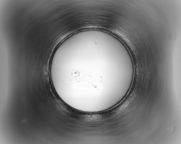 X0000096651129200802261314