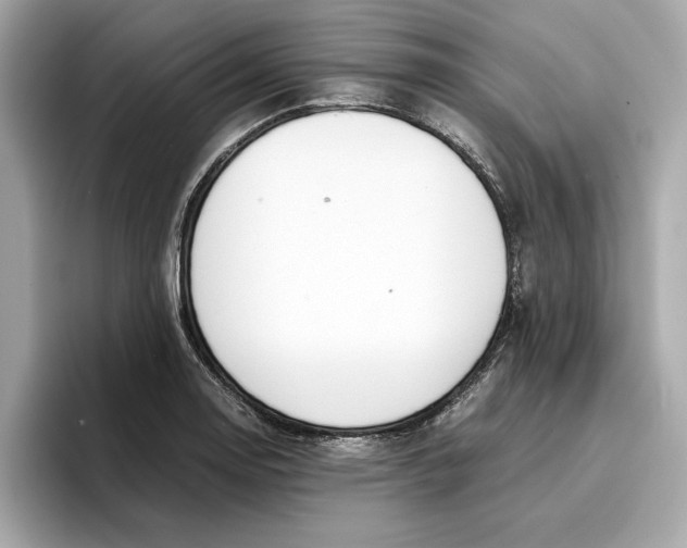 X0000096651130200802261314