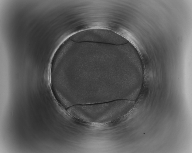 X0000096651132200802261314