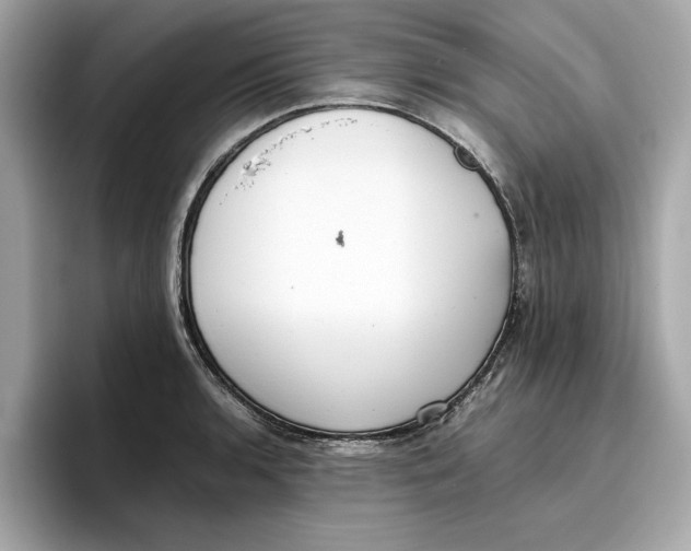 X0000096651136200802261315