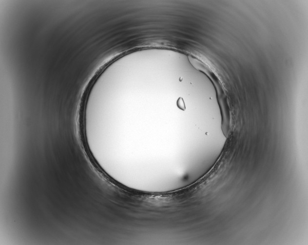 X0000096651139200802261315