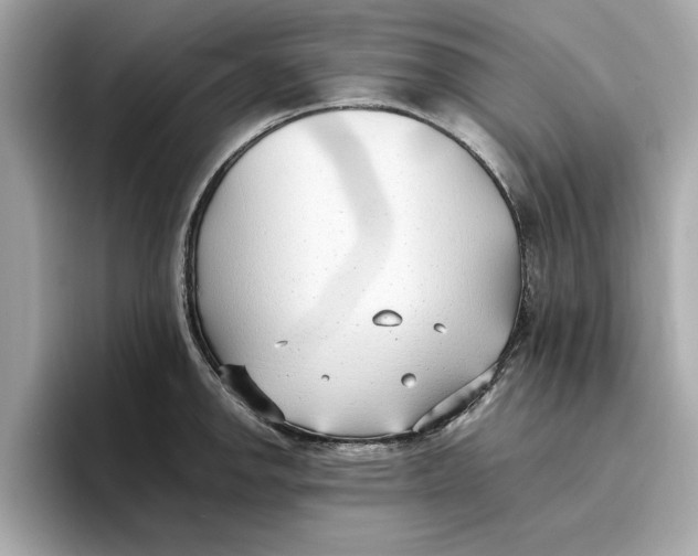 X0000096651142200802261315