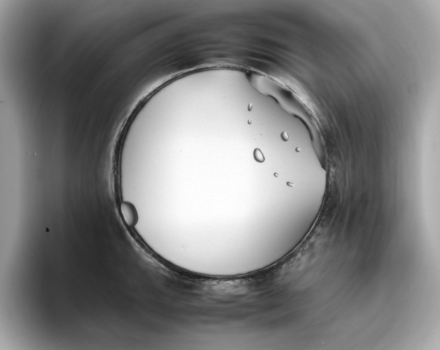 X0000096651143200802261315