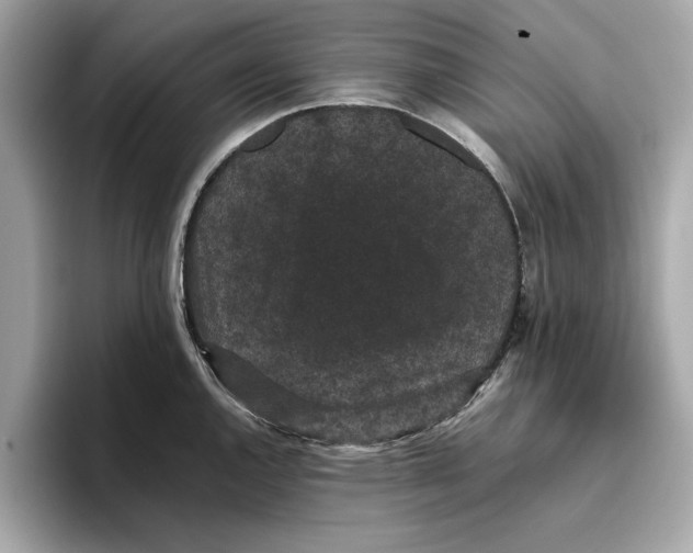 X0000096651144200802261315