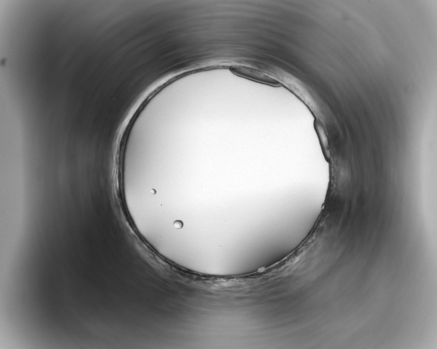 X0000096651148200802261315