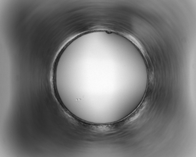 X0000096651149200802261315