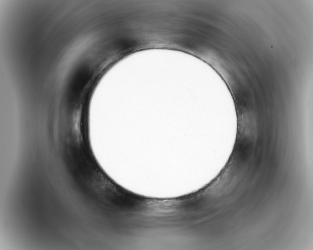 X0000096651150200802261315