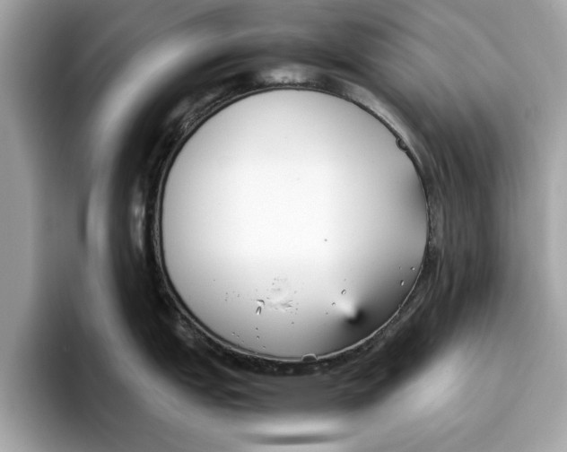 X0000096651151200802261315