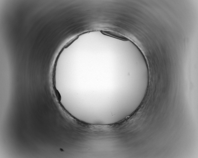 X0000096651152200802261315