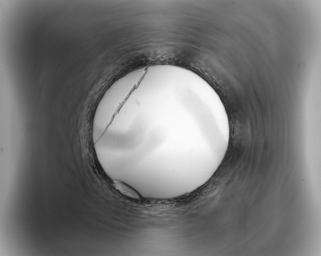 X0000096651153200802261314