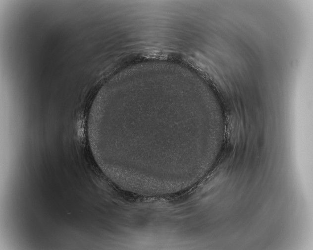 X0000096651154200802261314