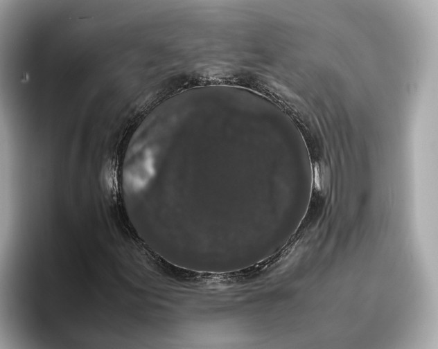 X0000096651155200802261314