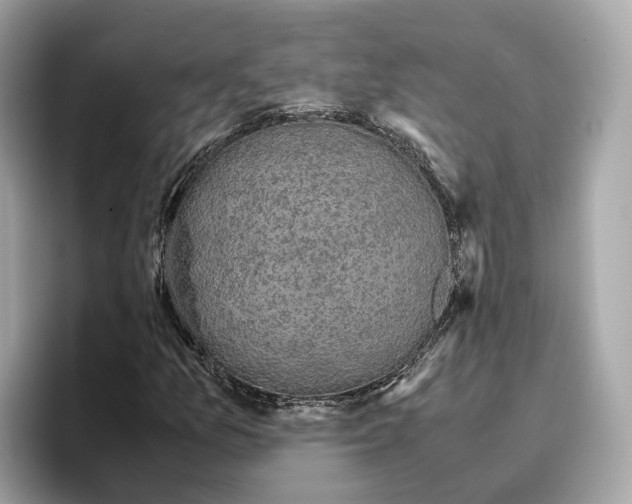 X0000096651157200802261314