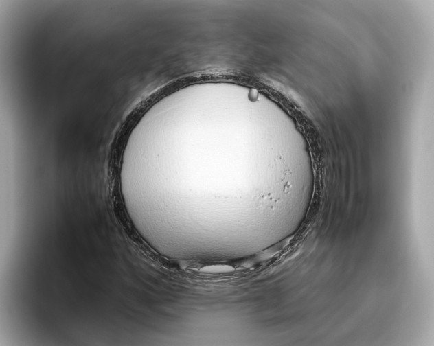 X0000096651160200802261314