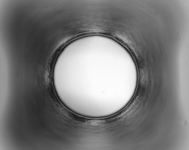 X0000096651163200802261314