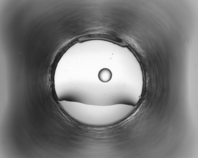 X0000096651164200802261314