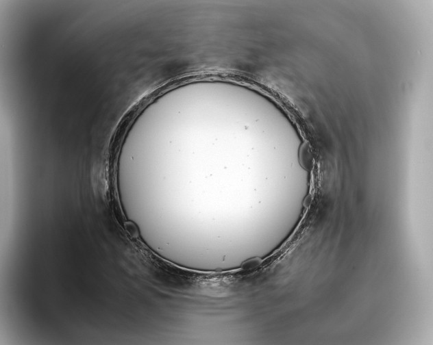 X0000096651165200802261314