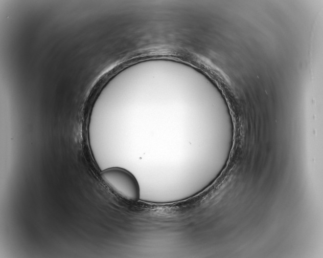 X0000096651166200802261314