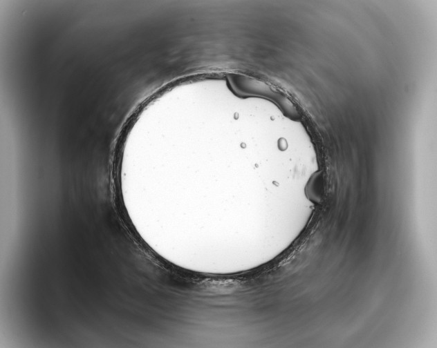 X0000096651168200802261314