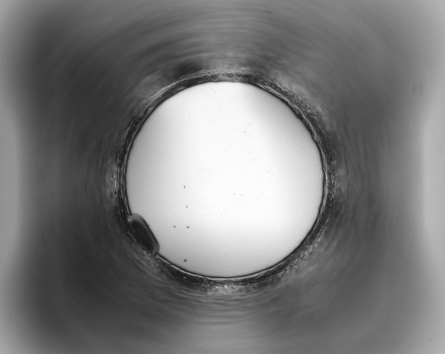 X0000096651169200802261314