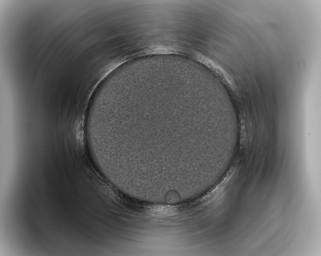 X0000096651170200802261314