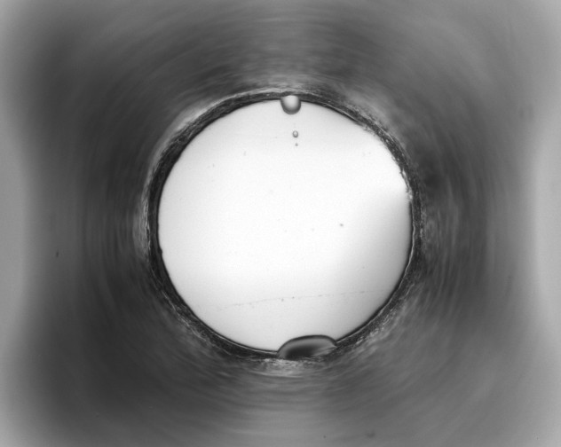 X0000096651172200802261314