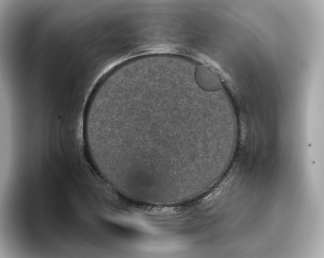 X0000096651174200802261314