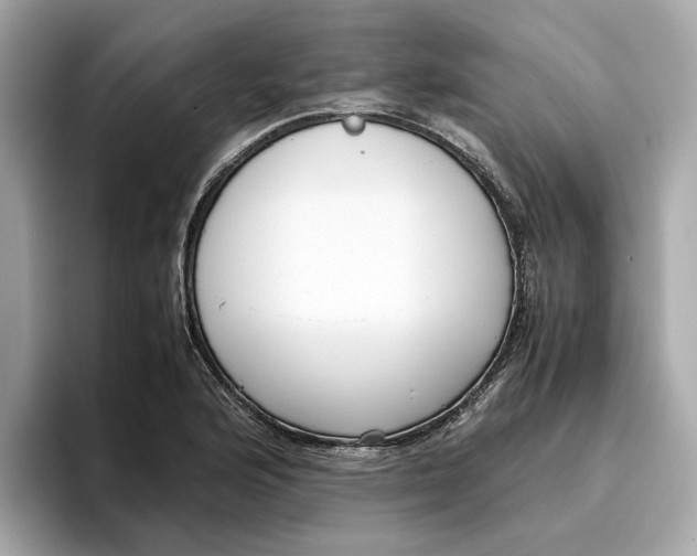 X0000096651176200802261314