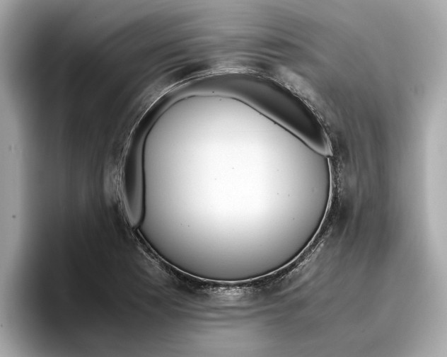 X0000096651177200802261314