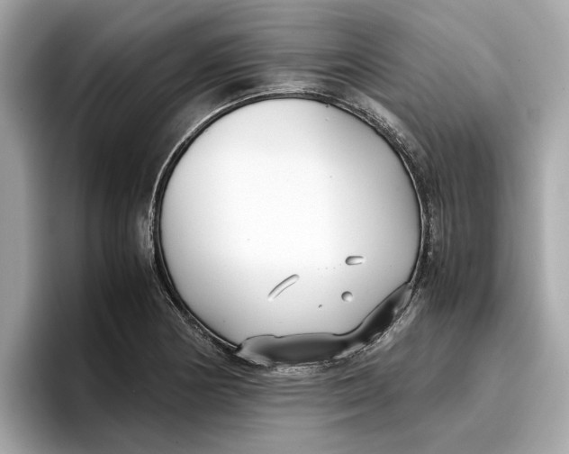 X0000096651178200802261314