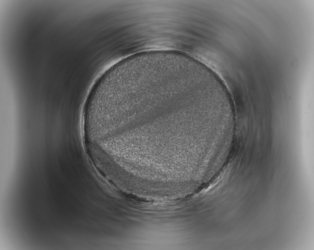 X0000096651179200802261314