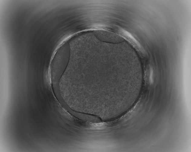 X0000096651180200802261314