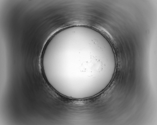 X0000096651182200802261314