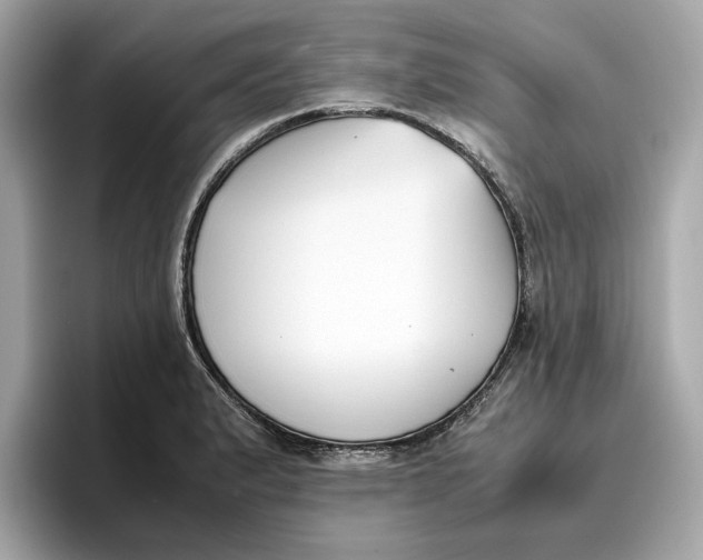 X0000096651183200802261314