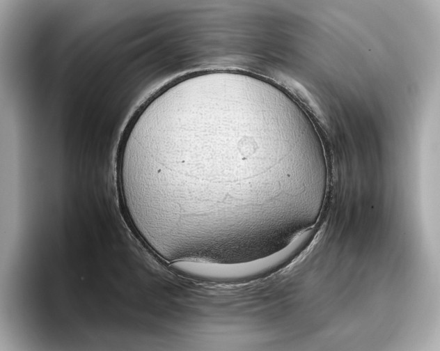 X0000096651184200802261314