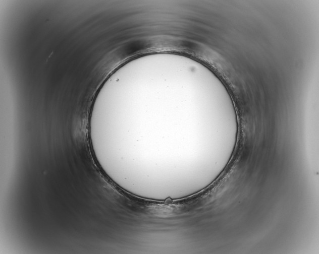 X0000096651185200802261314