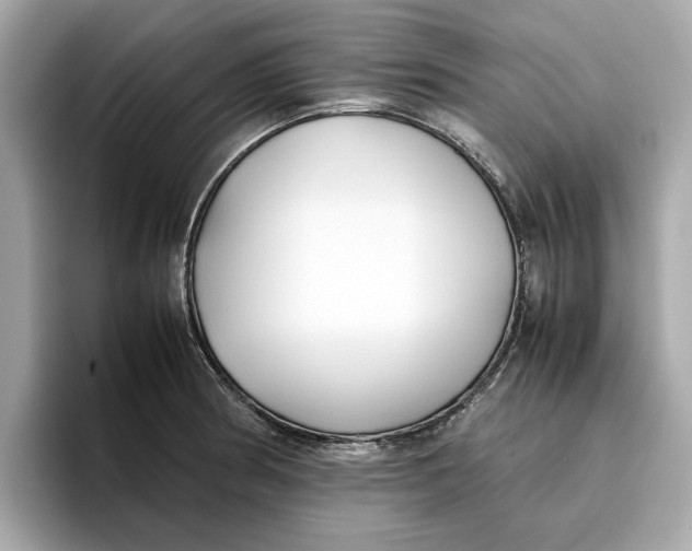 X0000096651186200802261314