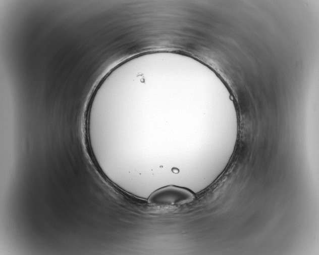 X0000096651187200802261314