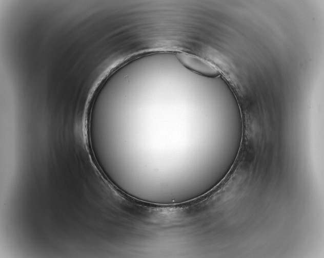 X0000096651188200802261314