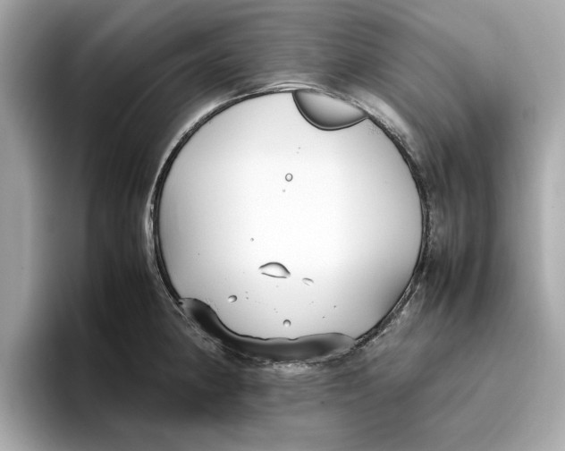 X0000096651190200802261314