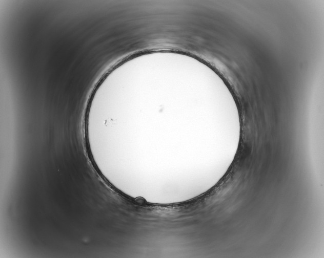 X0000096651191200802261313