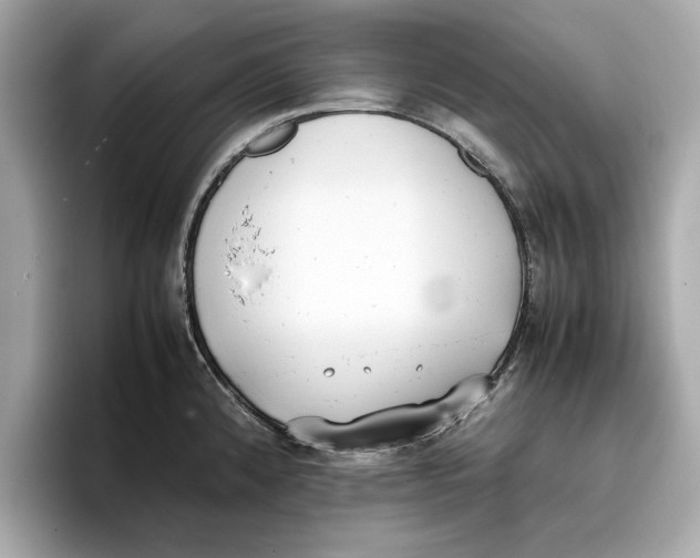 X0000096651192200802261313