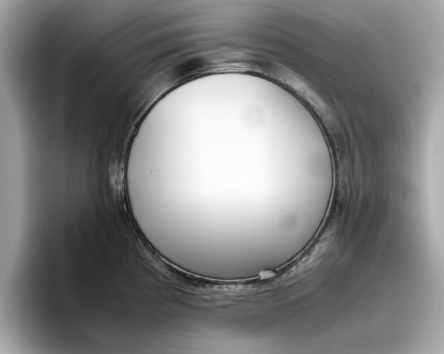 X0000096651193200802261313