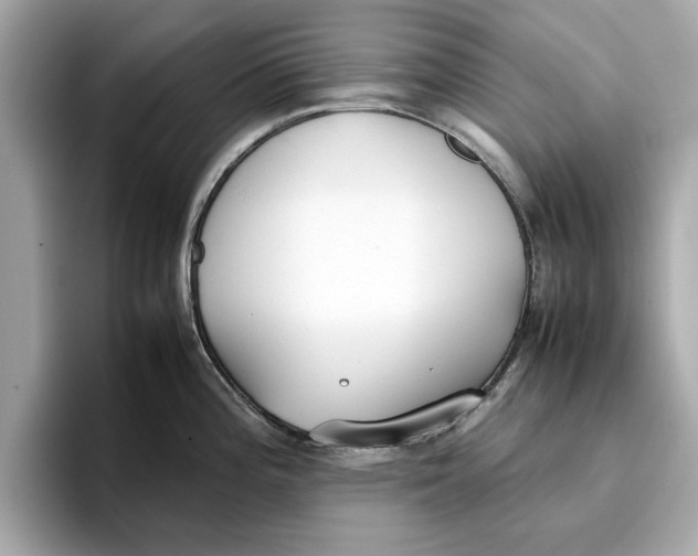 X0000096651196200802261313