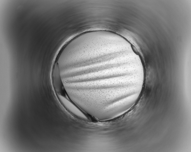 X0000096651197200802261313