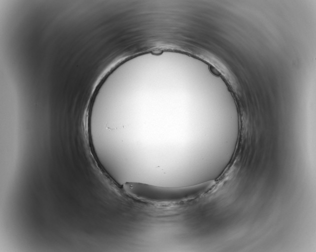 X0000096651198200802261313