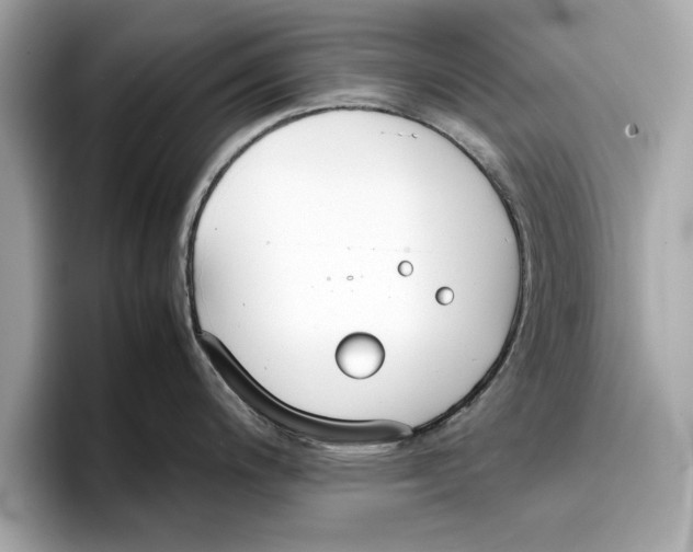 X0000096651200200802261313