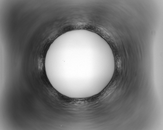 X0000096651204200802261313