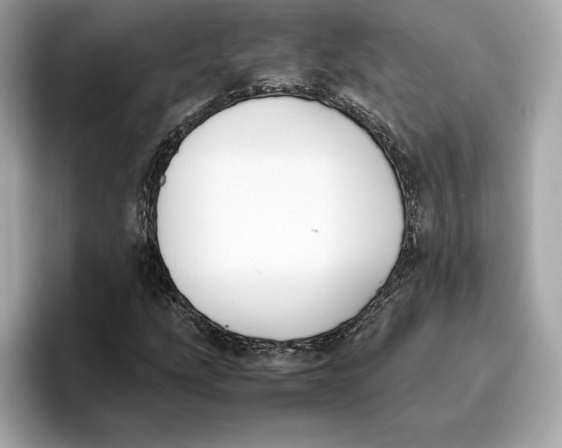 X0000096651207200802261313